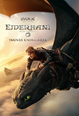Ejderhanı Nasıl Eğitirsin